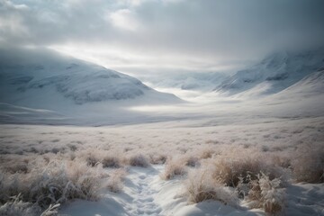 Fototapeta na wymiar Landscape with snow. Generative AI.