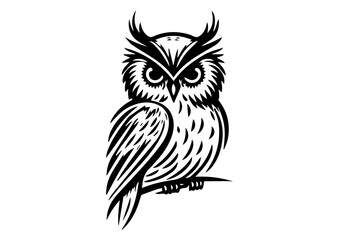 vector colorful owl, bird, animal illustration design