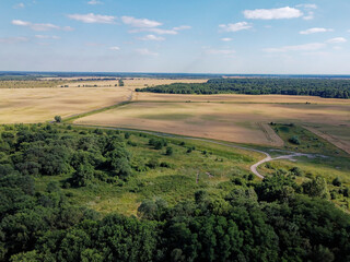 Green deciduous forest next to a farm field. Landscape from a bird's eye view. Sunny weather.