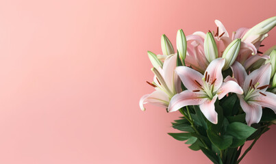 Delicate white lilies on a soft pink background.