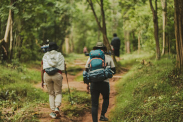 Fototapeta premium Hiker walking on forest trail with camping backpack Hikers from behind, hiking in autumn in the natural forest. Group of tourists.