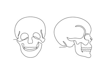  Human skull. One line