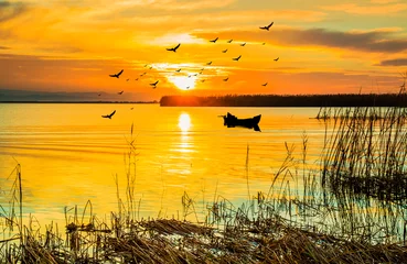  paisaje de un atardecer en el lago con una barca y aves volando  © kesipun
