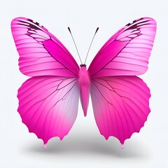 Pink Color Lovely Butterfly Vector,Colored butterfly isolated on a white background. high quality photo
