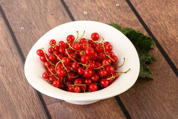 Ripe sweet organic red currant heap