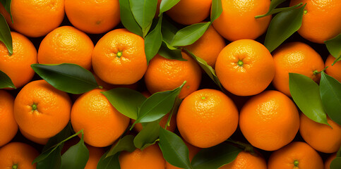 Background of fresh mandarins with green leaves. Top view. Banner. - obrazy, fototapety, plakaty
