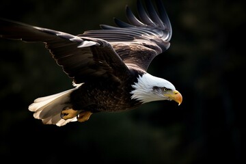 Eagle soaring in flight. Generative AI