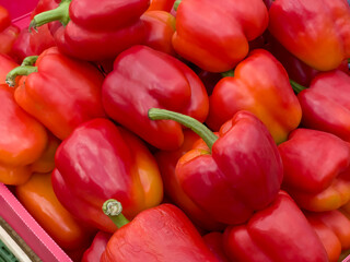 Sweet  red pepper paprika in the market - 666159368