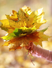 a bouquet of autumn leaves in the hand