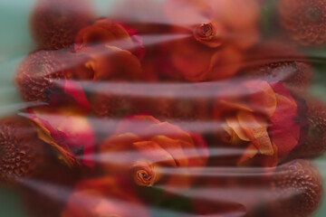 blur texture background of red fresh flowers on in daylight. floral background for the text of the invitation to the holiday and decorations