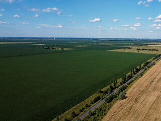 Beautiful agricultural landscape, open field with blue sky and white clouds. Farmfields from a bird's eye view.