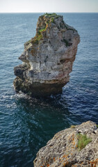 Red poppies bloom on coastal rocks near the village of Tyulenovo