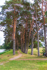 Landscape shot of the lake. Outdoor