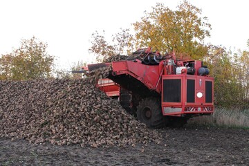 A red truck with a large load of wood on top of it
