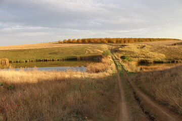 A road with a body of water in the distance