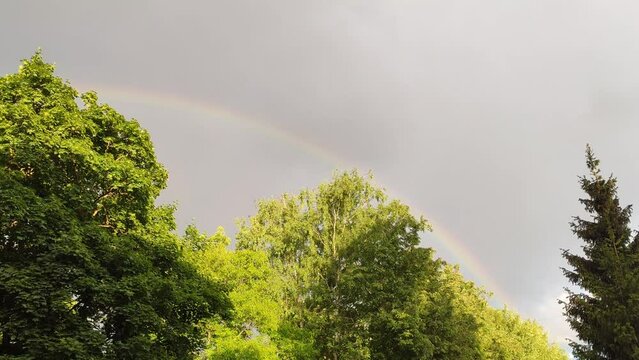 Rainbow on the sky after the rain. 