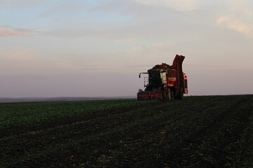 A tractor in a field