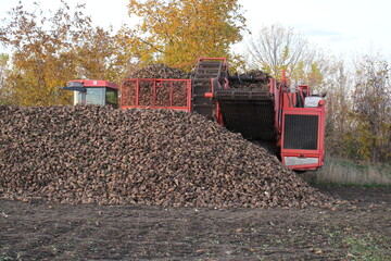 Naklejka premium A group of red containers on a pile of dirt