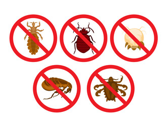No Lice And Bug Insect Symbol Set Cartoon illustration Vector - obrazy, fototapety, plakaty
