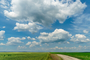 A dry sandy road passes through a field under the scorching sun and clouds. Dirt road outside the...