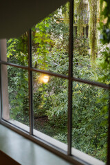 Beautiful green view outside the window - a dense garden with thickets of trees and bushes - idyllic view and silence