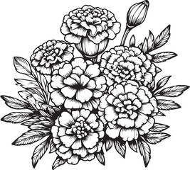 Flower coloring page for adults, Sketch marigold flower drawing, marigold vector art, Hand drawn beautiful pansy flower bouquets, illustration ink art, hand painted marigold flowers isolated on white