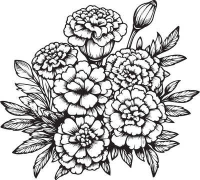 Flower coloring page for adults, Sketch marigold flower drawing, marigold vector art, Hand drawn beautiful pansy flower bouquets, illustration ink art, hand painted marigold flowers isolated on white