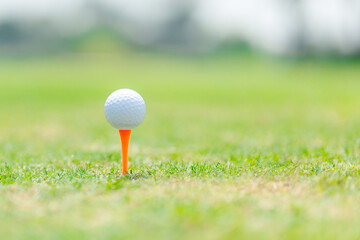 Close-up golf ball on tee with blur green background.