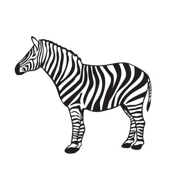 zebra silhouette design. African animal sign and symbol.