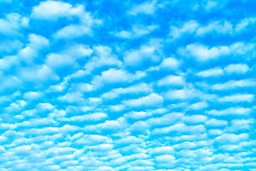 Cloudscape of Wispy Altocumulus Clouds in a Blue Sky