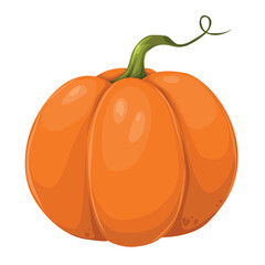 Ripe orange pumpkin isolated on white background. Autumn harvest of pumpkins. Healthy organic food and Halloween concept. Vector illustration of vegetables in flat style.