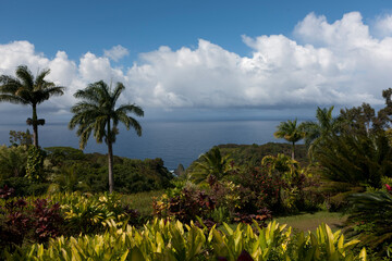 Fototapeta na wymiar USA Hawaii Big Island view on a sunny summer day