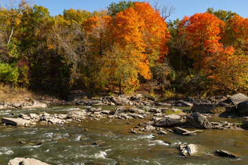 Fall on the Vermillion River.