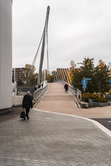 People walking on the bridge