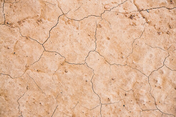 Texture of cracked soil in the desert of Uzbekistan