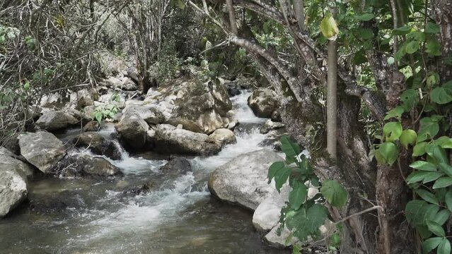 small lively river crossing a mountain pass in the andes on the way towards the historical archeological site of the tombs of Revash.