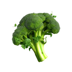 Broccoli vegetable on transparent background
