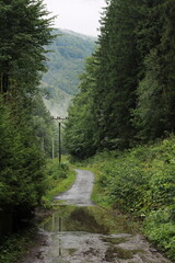 mountain road in the mountains in summer, czech nature