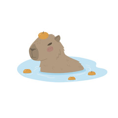 Cute capybara resting in the water with oranges, Yuzu. Large rodent from South America
