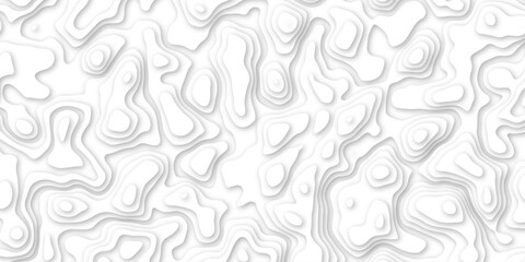 Abstract background texture and papercut and multi layer cutout geometric pattern on vector .Luxury white abstract papercut background with 3d geometry circles .