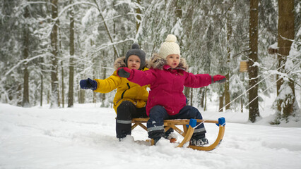 Preschooler boy and toddler girl enjoy riding on sled together in winter forest