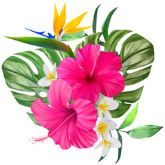Bouquet of pink flowers isolated. Tropical orchid flowers, hibiscus, paradise flower, plumeria. Summer bouquet, exotic