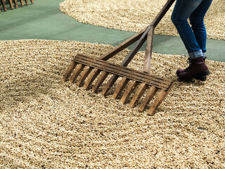 Kona Coffee 2023 Hawaii-43