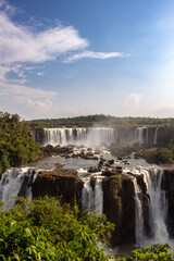 Fototapeta premium waterfall in the forest