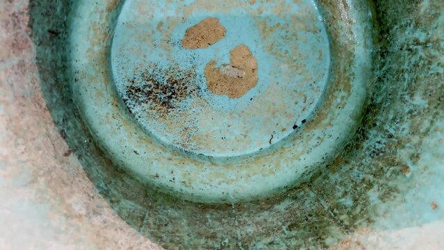 Long period stored water been infected by worms