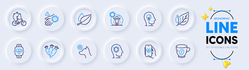 Coffee, Carrots and Veterinary clinic line icons for web app. Pack of Coronavirus protection, Mint leaves, Psychology pictogram icons. Wash hand, Health app, Bike timer signs. Leaf. Vector