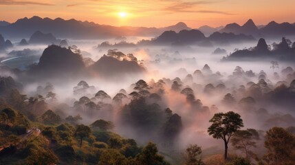 aerial view forest moody fog peaceful landscape freedom scene beautiful nature wallpaper photo