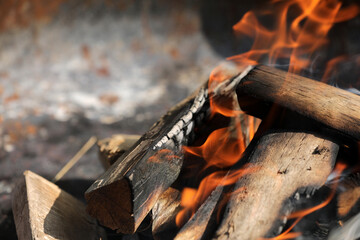 Fire campfire wood fire embers