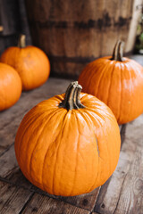 Pumpkin on wood. Orange round vegetable. Halloween background. Decorative organic warm color autumn colors. Fall season food.