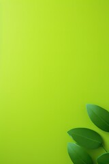 Fototapeta premium Green Monday concept background with copy space. Eco-friendly, sustainable, and environmentally responsible shopping concept. Zero waste, plastic free, and organic products.